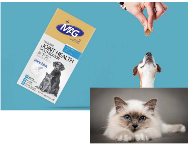 宠物饲料行业解决方案