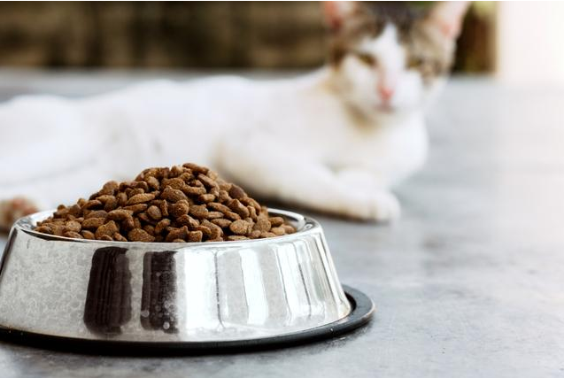 宠物饲料行业解决方案