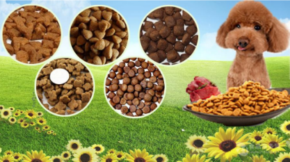 宠物饲料行业解决方案